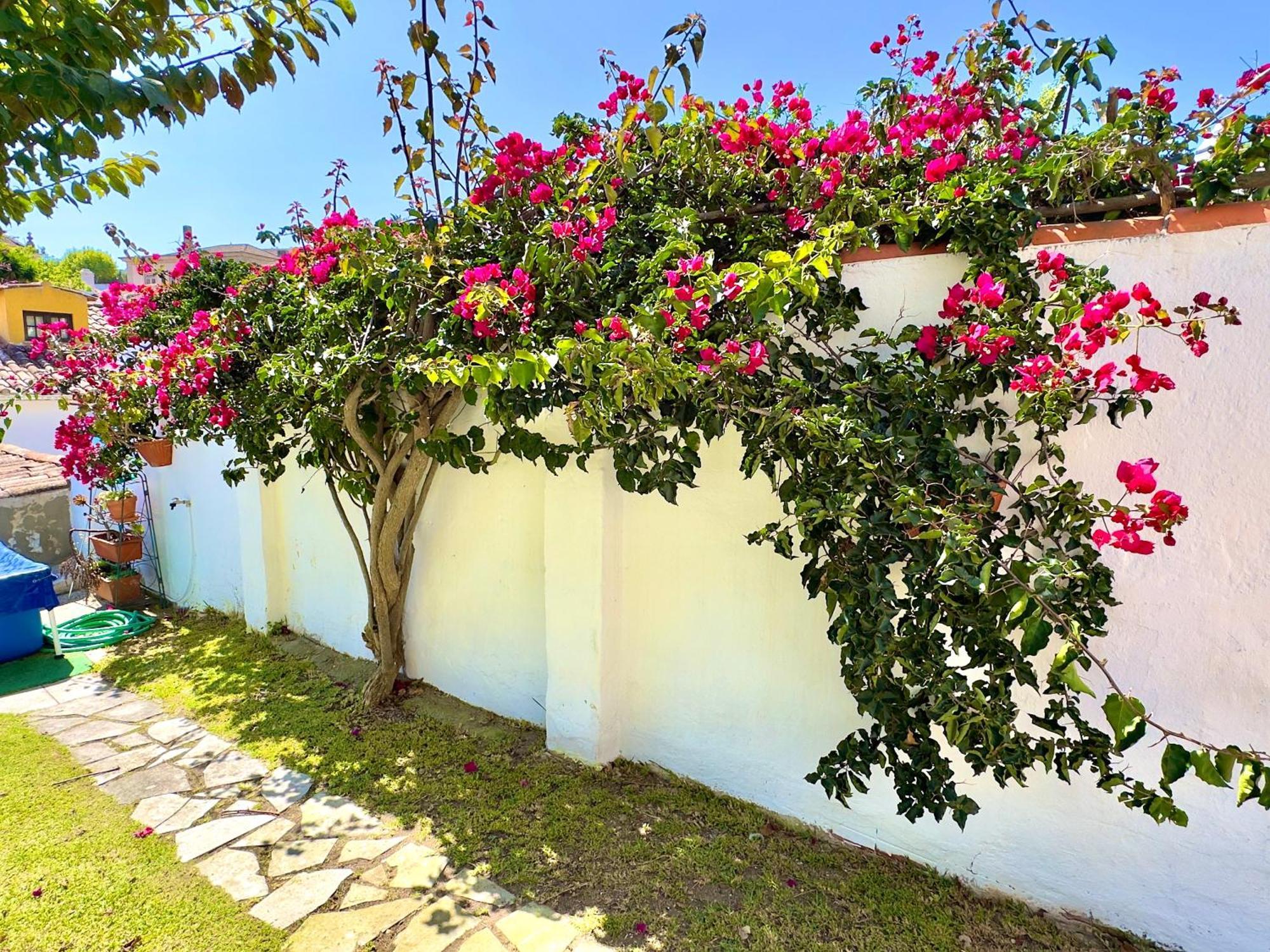 Casa Do Candeeiro Óbidos المظهر الخارجي الصورة